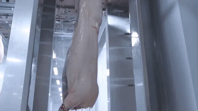 1743908309634231.png 9.png